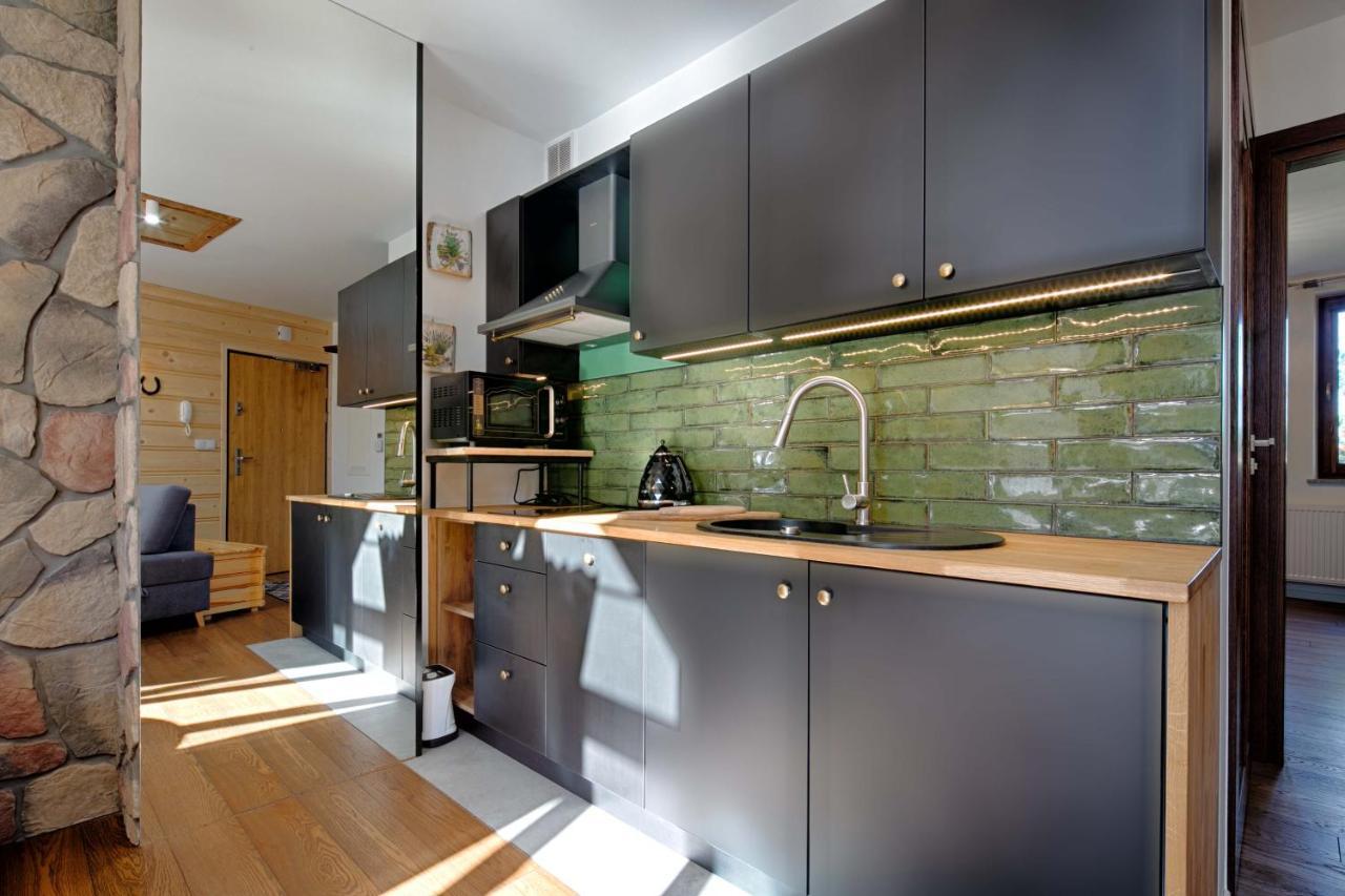 Apartament Biala Roza ザコパネ エクステリア 写真